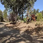 Sleeping Wolf Guest House