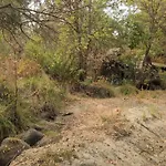 Sleeping Wolf Guest House