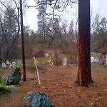 Sleeping Wolf Guest House